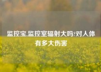 监控宝,监控室辐射大吗?对人体有多大伤害