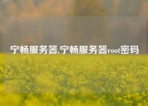 宁畅服务器,宁畅服务器root密码