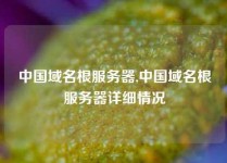 中国域名根服务器,中国域名根服务器详细情况