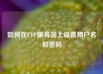 如何在FTP服务器上设置用户名和密码