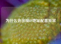 为什么会出现IP地址配置异常