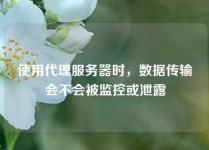 使用代理服务器时，数据传输会不会被监控或泄露