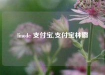 linode 支付宝,支付宝林麝