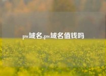 pw域名,pw域名值钱吗