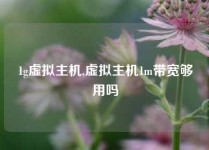 1g虚拟主机,虚拟主机1m带宽够用吗