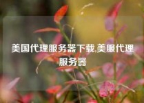美国代理服务器下载,美服代理服务器