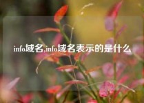 info域名,info域名表示的是什么