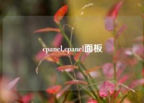 cpanel,cpanel面板