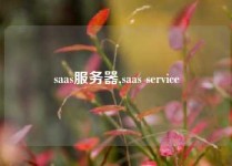 saas服务器,saas service
