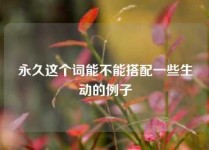 永久这个词能不能搭配一些生动的例子