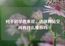 对于初学者来说，选择网站空间有什么推荐吗