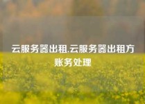 云服务器出租,云服务器出租方账务处理