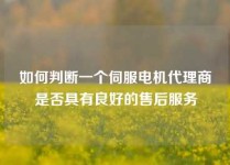如何判断一个伺服电机代理商是否具有良好的售后服务