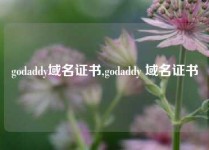godaddy域名证书,godaddy 域名证书