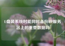 U盘装系统时能同时备份HP服务器上的重要数据吗