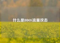 什么是DDOS流量攻击