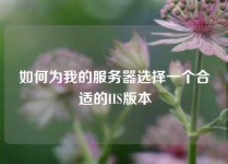 如何为我的服务器选择一个合适的IIS版本