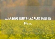 已从服务器断开,已从服务器断开wow