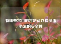 有哪些常用的方法可以检测服务器的安全性