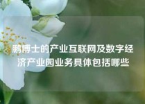 鹏博士的产业互联网及数字经济产业园业务具体包括哪些