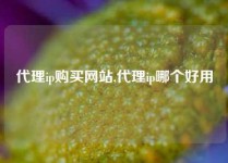 代理ip购买网站,代理ip哪个好用