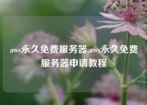 aws永久免费服务器,aws永久免费服务器申请教程