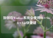 如何在Windows系统中使用Alt+Shift+Tab快捷键