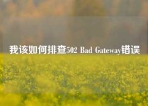我该如何排查502 Bad Gateway错误