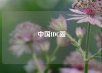 中国IDC圈