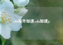 cdn海外加速,cdn加速js