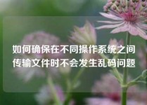 如何确保在不同操作系统之间传输文件时不会发生乱码问题