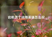 宕机这个词用英语怎么说