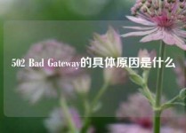 502 Bad Gateway的具体原因是什么
