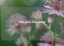 linkcloud,linkclump