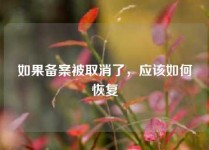 如果备案被取消了，应该如何恢复