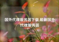 国外代理服务器下载,最新国外代理服务器