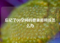 忘记了QQ空间的登录密码该怎么办