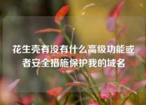 花生壳有没有什么高级功能或者安全措施保护我的域名