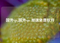 国外vps,国外vps 加速免费软件