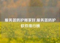 服务器防护哪家好,服务器防护软件排行榜