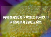 有哪些常用的CC攻击工具可以用来检测服务器的安全性