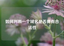 如何判断一个域名是否具有合法性