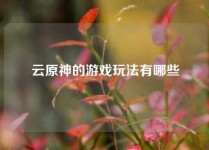 云原神的游戏玩法有哪些