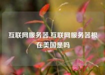 互联网服务器,互联网服务器根在美国是吗