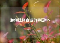 如何选择合适的韩国VPS