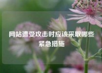 网站遭受攻击时应该采取哪些紧急措施