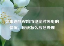 如果遇到双路市电同时断电的情况，应该怎么应急处理