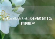 raid0,raid1,raid5,raid10分别适合什么样的用户