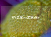 VPS之家,vps之家a5idc