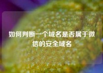 如何判断一个域名是否属于微信的安全域名